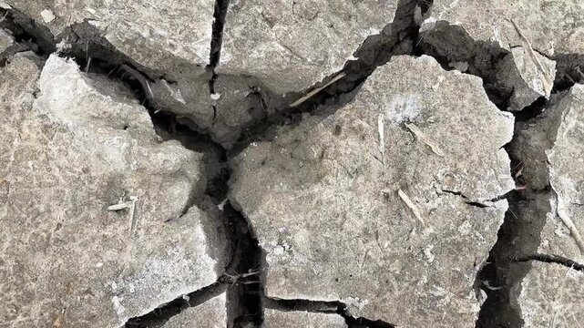 Overhead view of parched soil with deep cracks, dry mud plates and plant debris showing drought, water scarcity and climate change impact on arid land