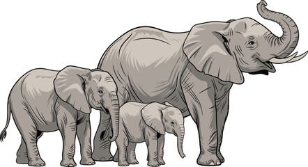 Family of Elephants Illustration with Adult, Young, and Baby Elephants in Classic Monochrome Style for Vector Design Projects © Shahanaj