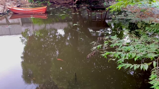 Calm garden pond with peaceful natural environment
