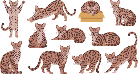 Set of Cartoon Bengal Cats in Various Poses for Animal, Domestic, and Pet Illustration Designs © Shahanaj