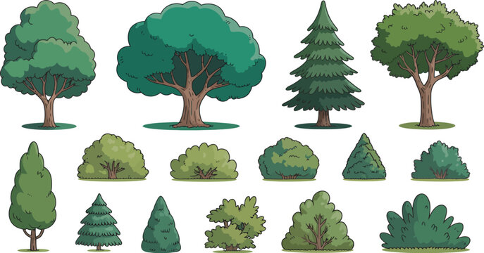 Large botanical tree and shrub collection with oak deciduous and pointed conifer species in minimal vector style for environmental and landscape graphics