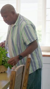 Vertical video: Entering kitchen with crate, man in striped sorting produce with wife prepping meal