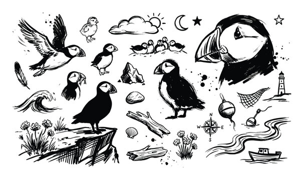 Hand-drawn black and white puffin birds and various nautical elements
