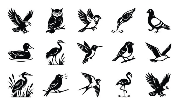 Collection of various stylized black bird silhouettes, including eagles, owls, sparrows, and a flamingo