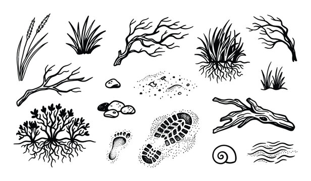 Various hand-drawn black and white nature elements including plants, roots, branches, rocks, and footprints