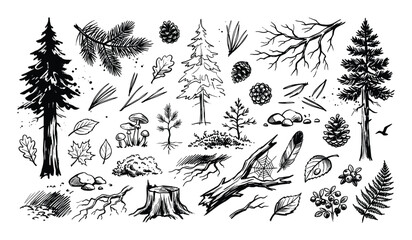 Fototapeta premium Large collection of hand-drawn forest elements in black and white, featuring trees, leaves, mushrooms, and other natural objects