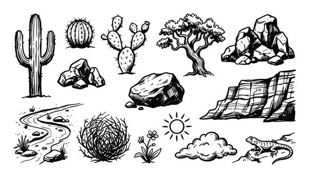 Hand-drawn desert elements set featuring various cacti, rocks, a tree, lizard, and tumbleweed in a sketch style