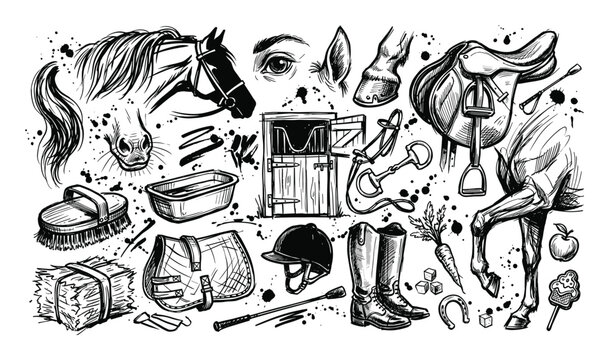 Detailed black and white hand-drawn sketch collection of various equestrian elements and horse-related items