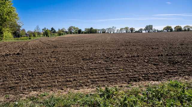Ploughed Field