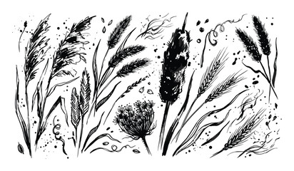 Fototapeta premium Collection of hand-drawn black ink botanical elements, including various grasses, wheat, and wild flowers, with artistic splatters
