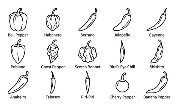 Various types of chili peppers and bell peppers are illustrated with simple black outline icons