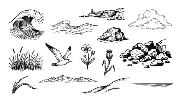 Hand-drawn collection of natural elements including ocean waves, a flying seagull, mountains, and various plants and rocks, rendered in a vintage engraving style