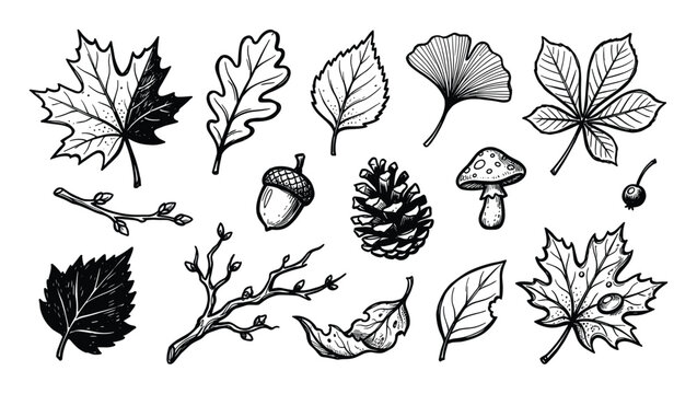 Various hand-drawn black and white autumn leaves, branches, and natural elements are arranged