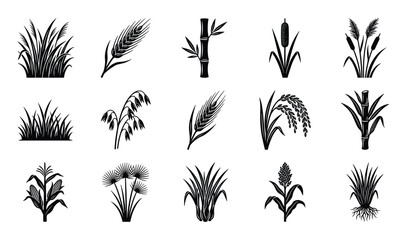 Fototapeta premium Collection of various stylized black and white cereal and grass plant icons