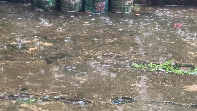 Rain Falling on Wet Ground with Green Moss Patch