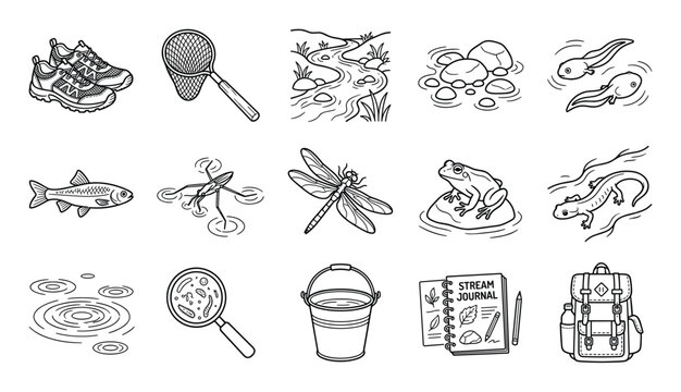 Collection of black and white line art illustrations depicting various stream study elements and creatures