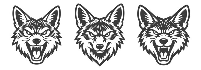 Obraz premium Aggressive jackal or coyote heads set, mascot vector illustration for sports team logo or wildlife brand design