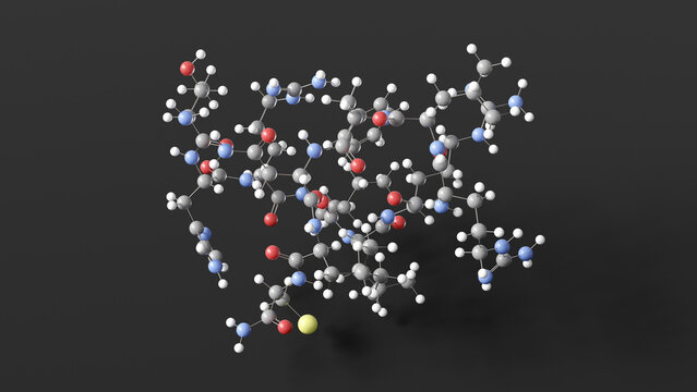 brp molecule 3d, molecular structure, ball and stick model, structural chemical formula brinp2-related peptide