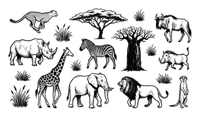 Naklejka premium Collection of hand-drawn African safari animals and plants, including a cheetah, rhino, giraffe, zebra, elephant, lion, meerkat, wildebeest, warthog, acacia tree, baobab tree, and grass