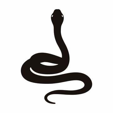 Minimalist black snake silhouette vector, coiled serpent icon on white background, elegant reptile graphic for logo design and tattoo art