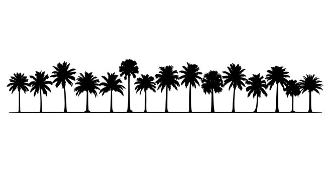 Palm tree silhouettes on white background forming a tropical jungle horizon for travel, tourism, and summer design scenes