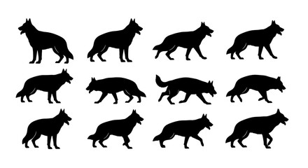 Obraz premium Wolf head and body icons set of black silhouette animals for vector logo, wildlife badge, and hunting theme design