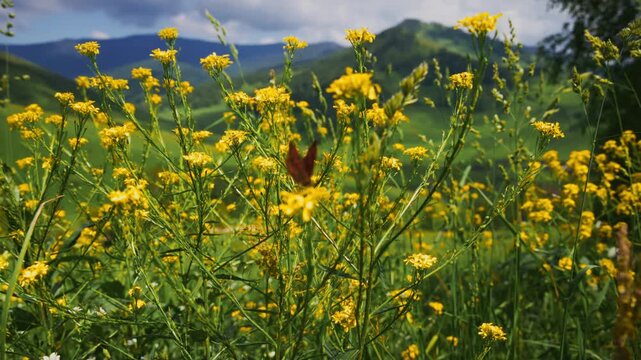 Butterfly flutters among vibrant yellow wildflowers. Hills roll softly under a partly cloudy sky. Green grass sways gently in the breeze. Nature's beauty captured in serene, sunlit meadows