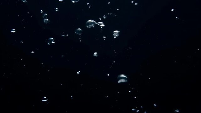 Bubbles Float Calmly. Underwater Bubbles Ascend Softly Amidst Reflections And Tranquil Marine Scenes