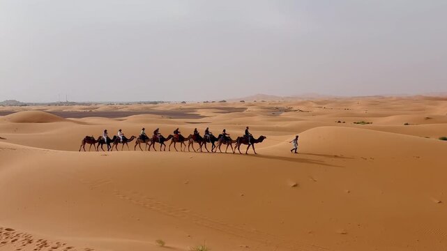 Camels caravan in Sahara desert in Merzouga Morocco