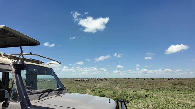 safari vehicle overlooking a distant zebra herd in the flat serengeti landscape