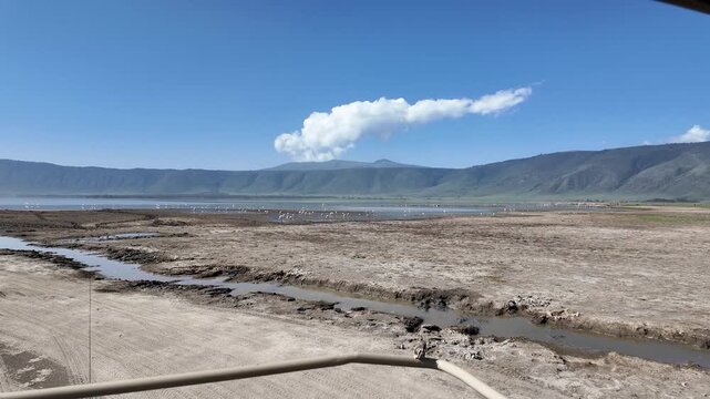 A wide view of the large lake inside the Ngorongoro Crater in Tanzania, filled with hundreds of flamingos standing and feeding in the shallow water.