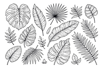 Fototapeta premium Hand drawn line art tropical leaf set featuring various exotic foliage types for summer design and decoration