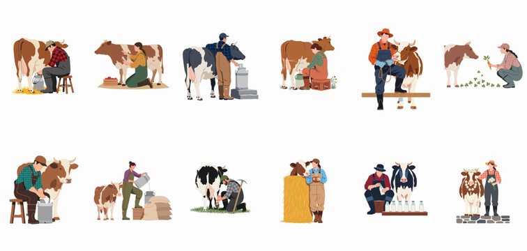 Set of flat vector illustrations depicting male and female farmers caring for cows, milking, and handling fresh milk on a dairy farm.