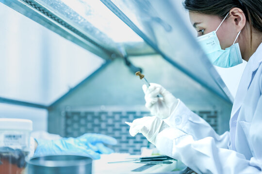 Forensic science inspecting biological evidence with tweezers carefully. Lab technician analyzing dna sample data in sterile facility. Scientist conducting experiment in pharmaceutical laboratory.