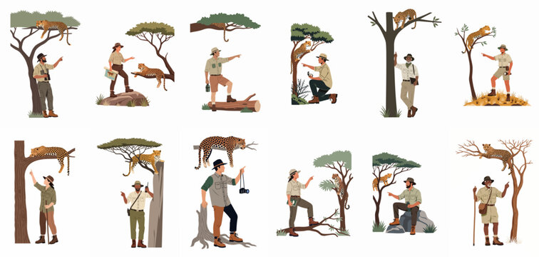 Collection of illustrations showing safari rangers and guides observing wild leopards resting in acacia trees across a white background.