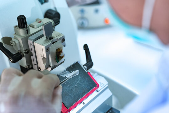 Professional lab technician placing tissue cassette into rotary microtome machine. Scientist hand in glove preparing paraffin block for histology sectioning in sterile laboratory.