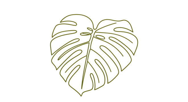 minimalist monoline monstera leaf illustration on white background