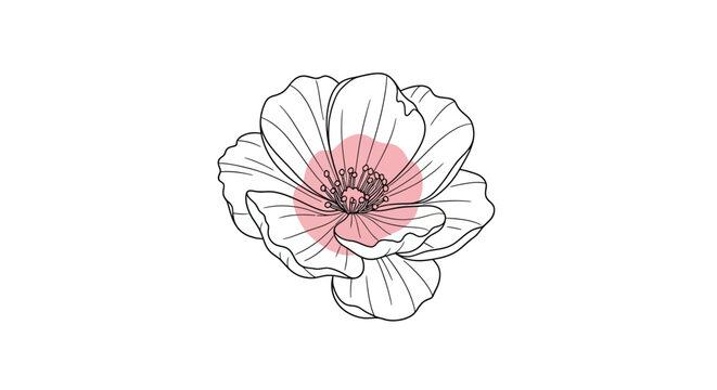 minimalist hand-drawn pink camellia flower illustration isolated on white background