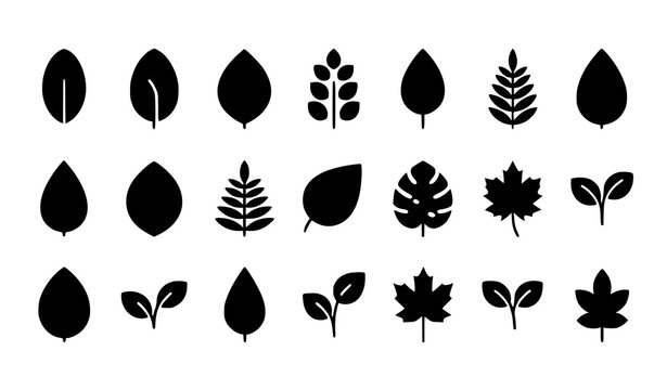 set of black silhouettes of leaves
