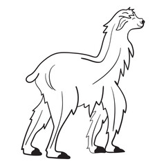 Obraz premium Llama walking stroke