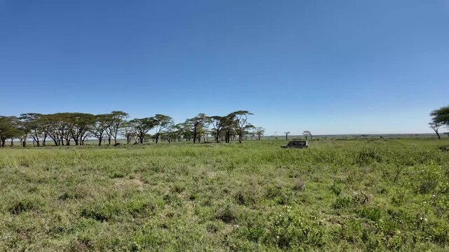 Jeep Adventure Through the Green Serengeti Landscape &ndash; Tanzania