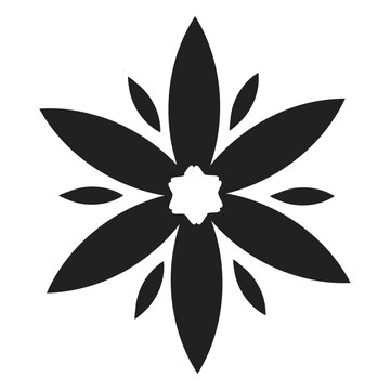 Wild cocumber flower vector