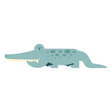 Nile crocodile illustration