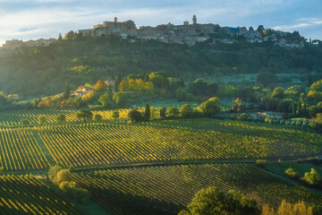 Naklejka premium Montepulciano Medieval Village and Vineyards at Dawn, Tuscany