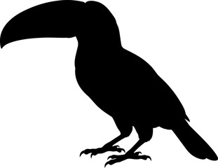 Fototapeta premium Black silhouette of a toucan bird on a white background, vector illustration