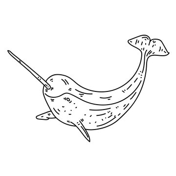 Happy narwhal line