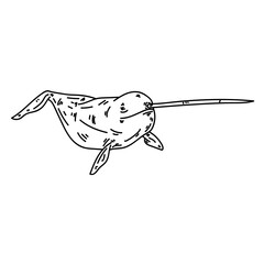 Narwhal whale line © Vexels