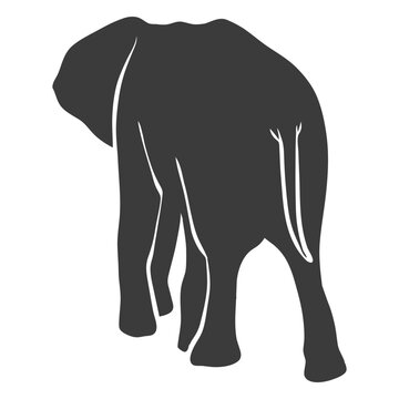 Elephant tail silhouette