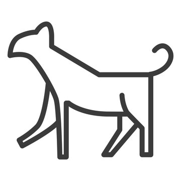 Animal dog cat divinity stroke