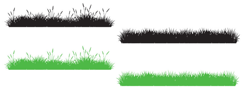 Green and Black Grass Silhouette Border for Summer Landscape Garden Design and Architectural Rendering